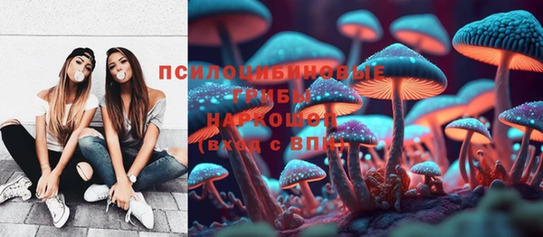 стафф Кукмор